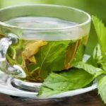 Sejarah Teh Hijau
