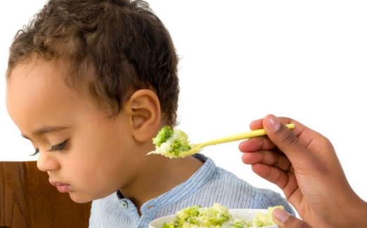 Bagaimana Cara Mengatasi Anak Susah Makan